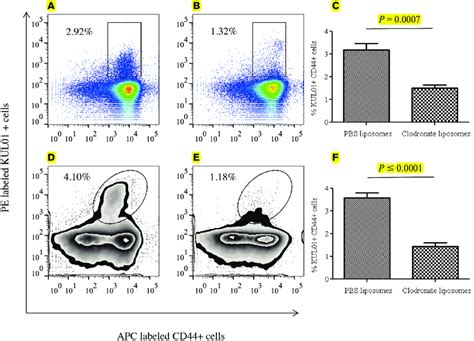 Flow Cytometry Analysis Of Spleen And Lung Mononuclear Cells From