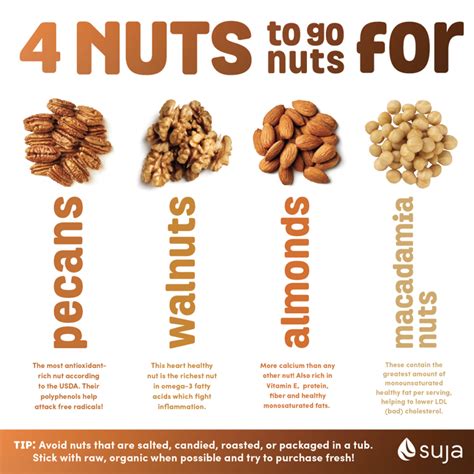 Nuts With The Most Protein 4 Nuts You Should Eat Suja