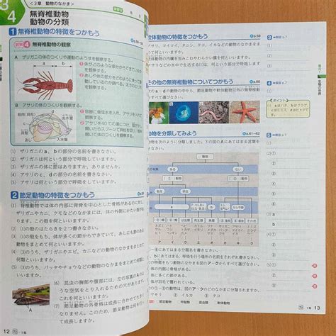 新学習指導要領対応 よくわかる理科の学習 1年 大日本図書版 生徒用 解答と解説 付 明治図書 答え 理科 ワーク 大日 大 教科書準拠 ｜売買されたオークション情報、yahooの商品情報を