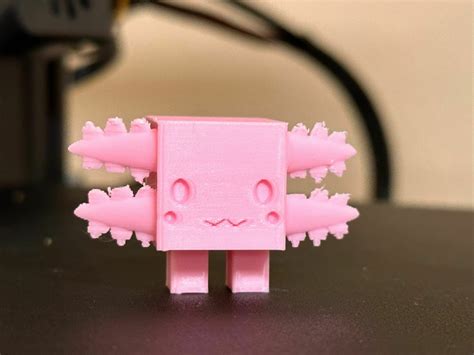 Articulated Minecraft Axolotl 3d Print Model 60 Off