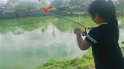 Lady Angler Cilik Strike Ikan Besar YouTube