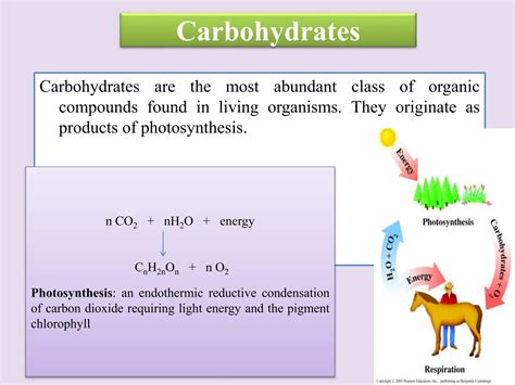 Carbohydrates Pptx