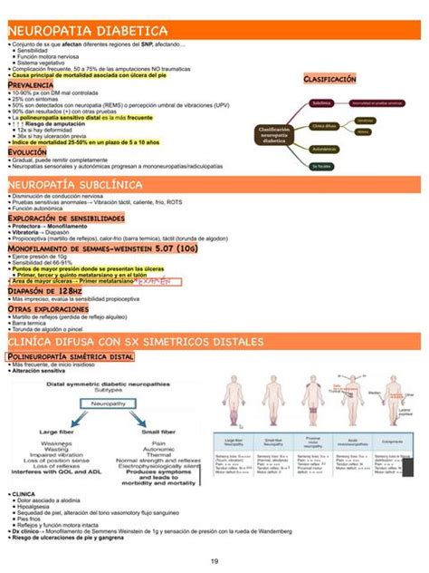 Neuropat A Diab Tica Subcl Nica Udocz