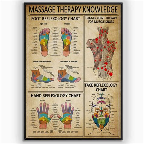 Amd Print Reflexology Chart Massage Therapy Knowledge Poster Foot