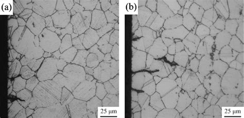 Figure From The Effects Of Inhomogeneous Microstructure And Loading