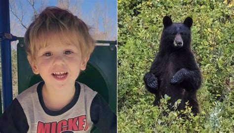 Three Year Old Boy Says Friendly Bear Looked After Him While Lost In North Carolina Woods Newshub