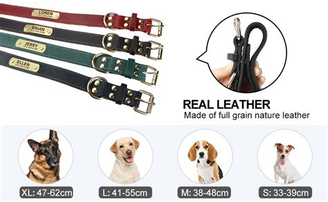 Tagme Collier De Chien En Cuir Personnalis M Daille Grav E Avec Nom Et