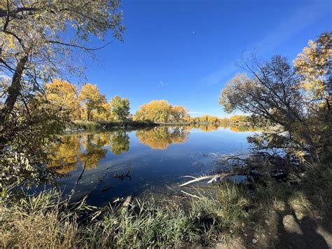 5 Places to Catch Fall Color in Greeley, Colorado