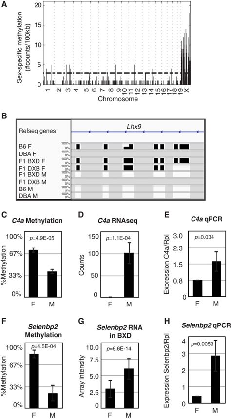 Sex Differences A Sex Specific Methylation Sites Across The Genome