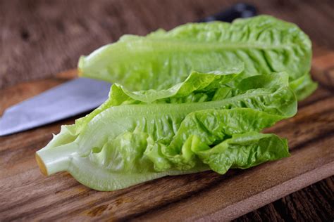 Conoce Estos Cinco Tipos De Lechuga Y Sus Beneficios