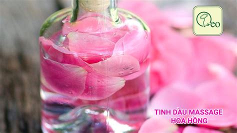 Tinh Dầu Massage Hoa Hồng Từ Thiên Nhiên Tốt Nhất Giá ưu đãi