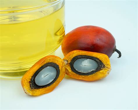 Palm Cooking Oil Suppliers | Palm Cooking Oil Exporters | HAS Commodities