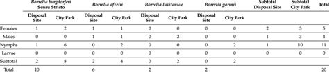 Detected borrelia species within the Borrelia burgdorferi sensu lato ...