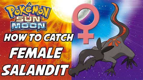 How To Catch Female Salandit In Pokemon Sun And Moon Youtube