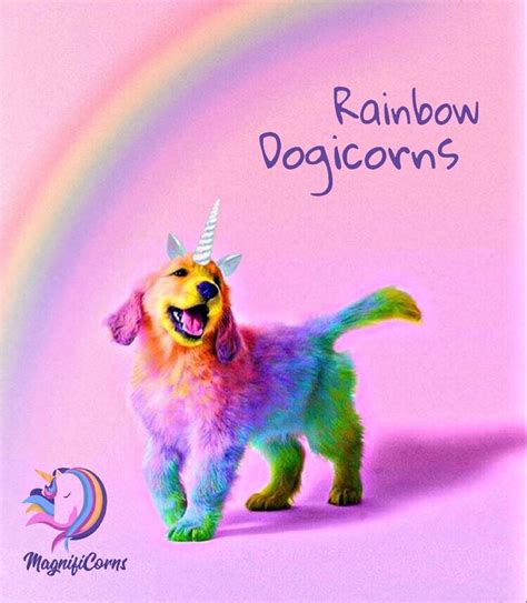 Dogicorn Amazing Animal Pictures Puppy Safe Puppies Funny