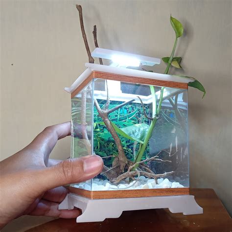 Jual Aquarium Mini Ikan Cupang Ikan Hias Kotak Unik Artistik Aksesoris