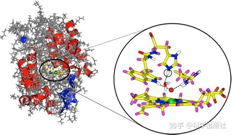 国规教材，生命科学经典教材改版 《酶工程（第五版）》出版 知乎