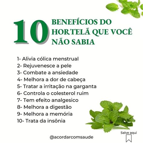 10 BENEFÍCIOS DO HORTELÃ QUE VOCÊ NÃO SABIA Saúde e nutrição Receita