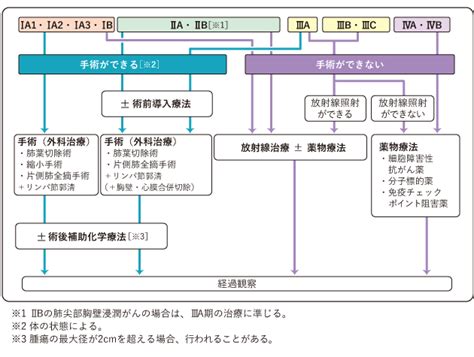 肺がん 非小細胞肺がん 治療： 国立がん研究センター がん情報サービス 一般の方へ