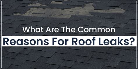 What Are The Common Reasons For Roof Leaks