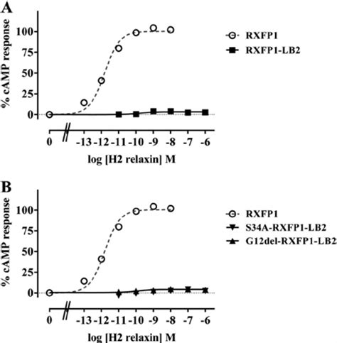 H2 Relaxin Induced Camp Response Of Rxfp1 Lb2 A And G12del