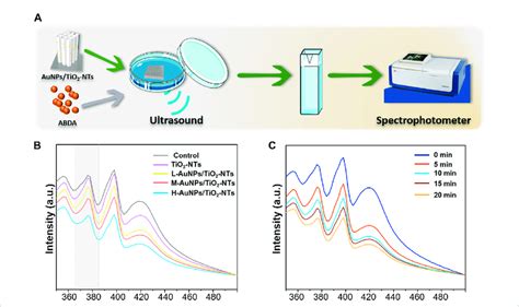 A Schematic Images Of O Generation With Time B Ros Generation