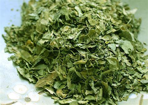 Organic Dried Moringa Leaves Feature Highly Effective Nice Aroma