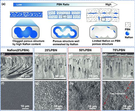 A Schematic Of The PBN Layer With Different PBN Ratio SEM Images Of