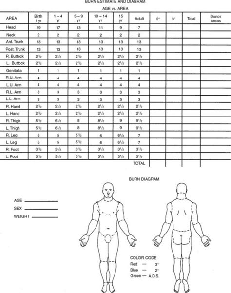 Burn Injuries Musculoskeletal Key