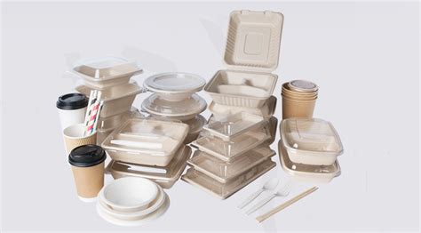 Biodegradable takeaway food packaging boxes