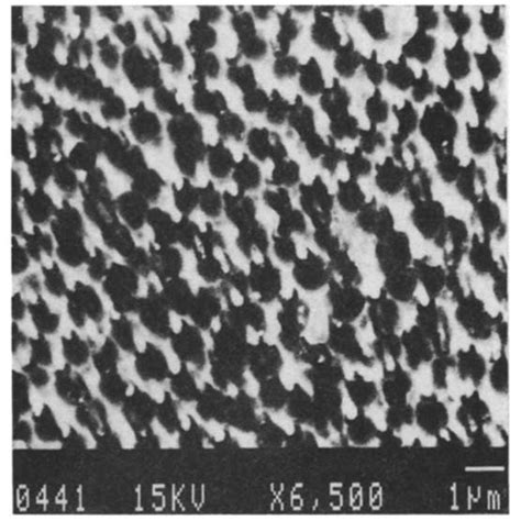 Microstructure of the central part of sample I. Fig. 7. Microstructure ...