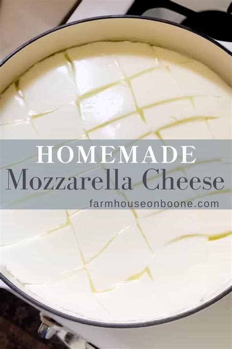 Homemade Mozzarella Cheese - Farmhouse on Boone