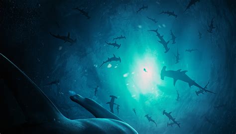 Hammerhead Shark Underwater Wallpaper - Resolution:3000x1705 - ID ...