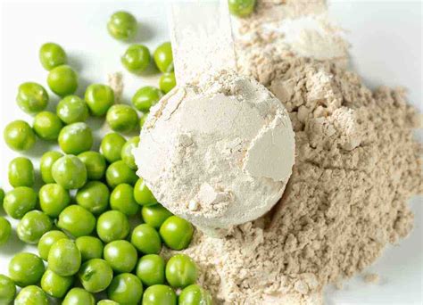 Pea Protein Vs Whey For Weight Loss And Body Composition — Fuadfit