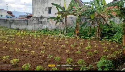 Jual Tanah Hgb Di Sidorejo Harga Terbaru