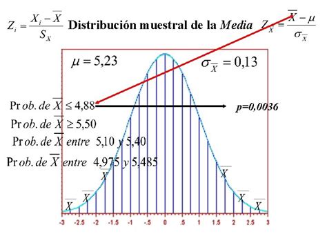 Distribucin Muestral De La Media Recuerda Un Elemento