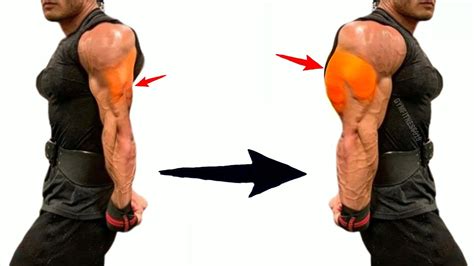 Triceps Workout At Gym Bigger Triceps How To Make Bigger Triceps At