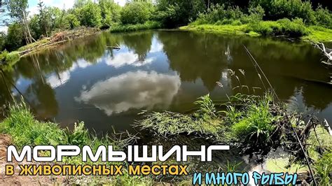 Мормышинг в живописных местах и МНОГО самой разной рыбы - YouTube