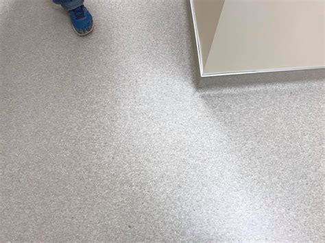 Flash Cove — Preferred Flooring Award Winning Flooring Installation