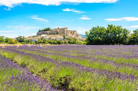 Lavender Fields at Village Gordes, a Small Medieval Town in Provence ...