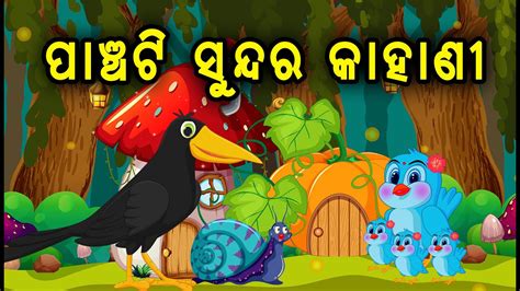 5 Special Story Mega Story Tv Birds Story Odia Gapa Aaimaa