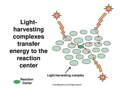 Ppt Lecture Notes For Chapter Photosynthesis Powerpoint