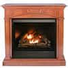 Duluth Forge Duluth Forge Fdi R M Hc Dual Fuel Ventless Gas Fireplace