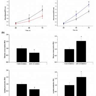 MiR 124 Negatively Regulates GLUT1 And HKII Expression The Protein