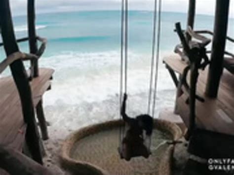 Search Results For Valentina Victoria Nude CamWhoresHD