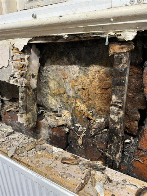 Uncovering Hidden Damage: STRATUS9 Consulting Uncovers Extensive Wet