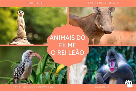 Animais do filme O REI LEÃO Timão Pumba e mais FOTOS reais