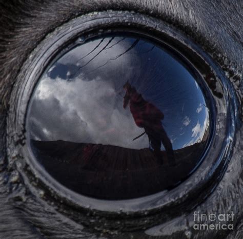 Seal Eye Antarctica Photograph By Philippe Tulula And Julie Alexander