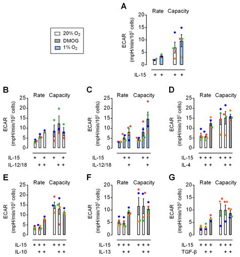 Cells Free Full Text Innate Cytokine Induced Early Release Of Ifnγ