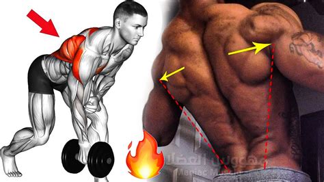 8 Best Back Exercise Back Workout Youtube